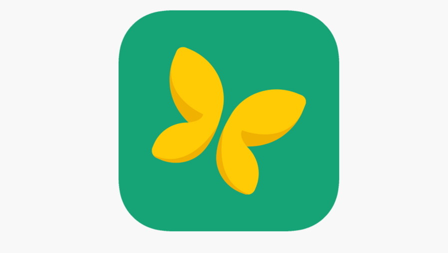 Logo de pronote, un papillon jaune sur fond vert.